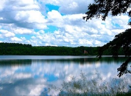 Photo of lake on St John's University campus