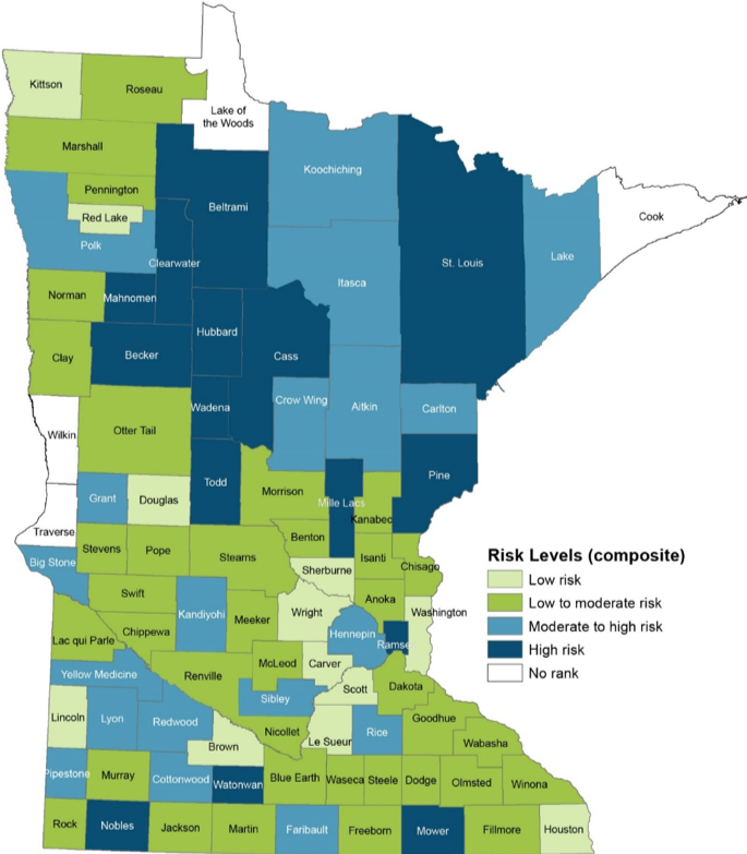 ICD contributes to 2018 Minnesota Early Childhood Risk, Reach, and ...