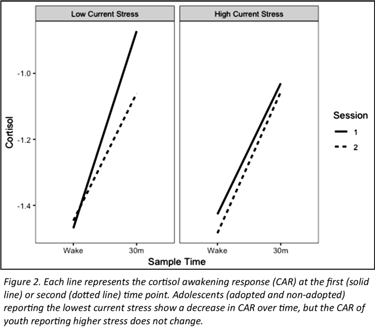 Figure 2 shows that adolescents, adopted and non-adopted, reporting the lowest current stress show a decrease in CAR over time, but the CAR of youth reporting higher stress does not change. 